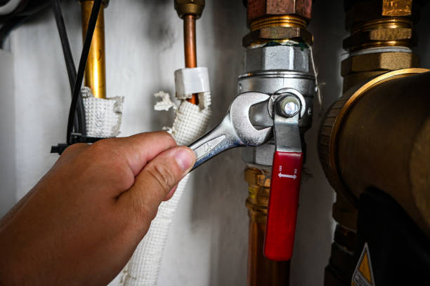 Best Pipe Repair Near Me  in Fremont, MI